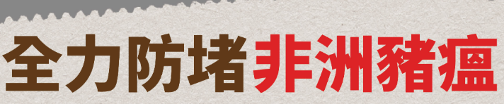 非洲豬瘟教育專區